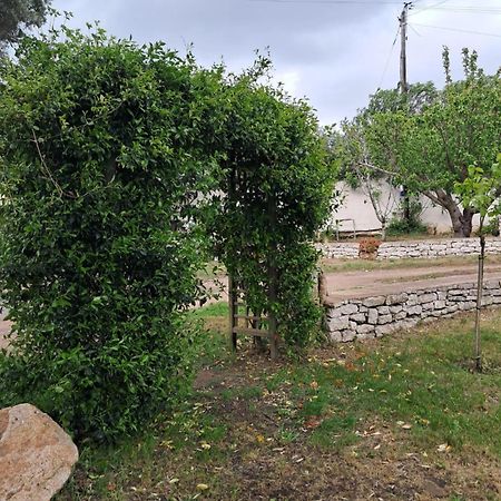Mini Villa Giuseppina Bonifacio  Dış mekan fotoğraf