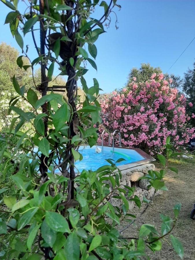 Mini Villa Giuseppina Bonifacio  Dış mekan fotoğraf