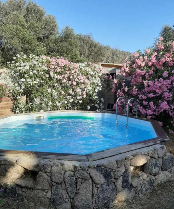 Mini Villa Giuseppina Bonifacio  Dış mekan fotoğraf