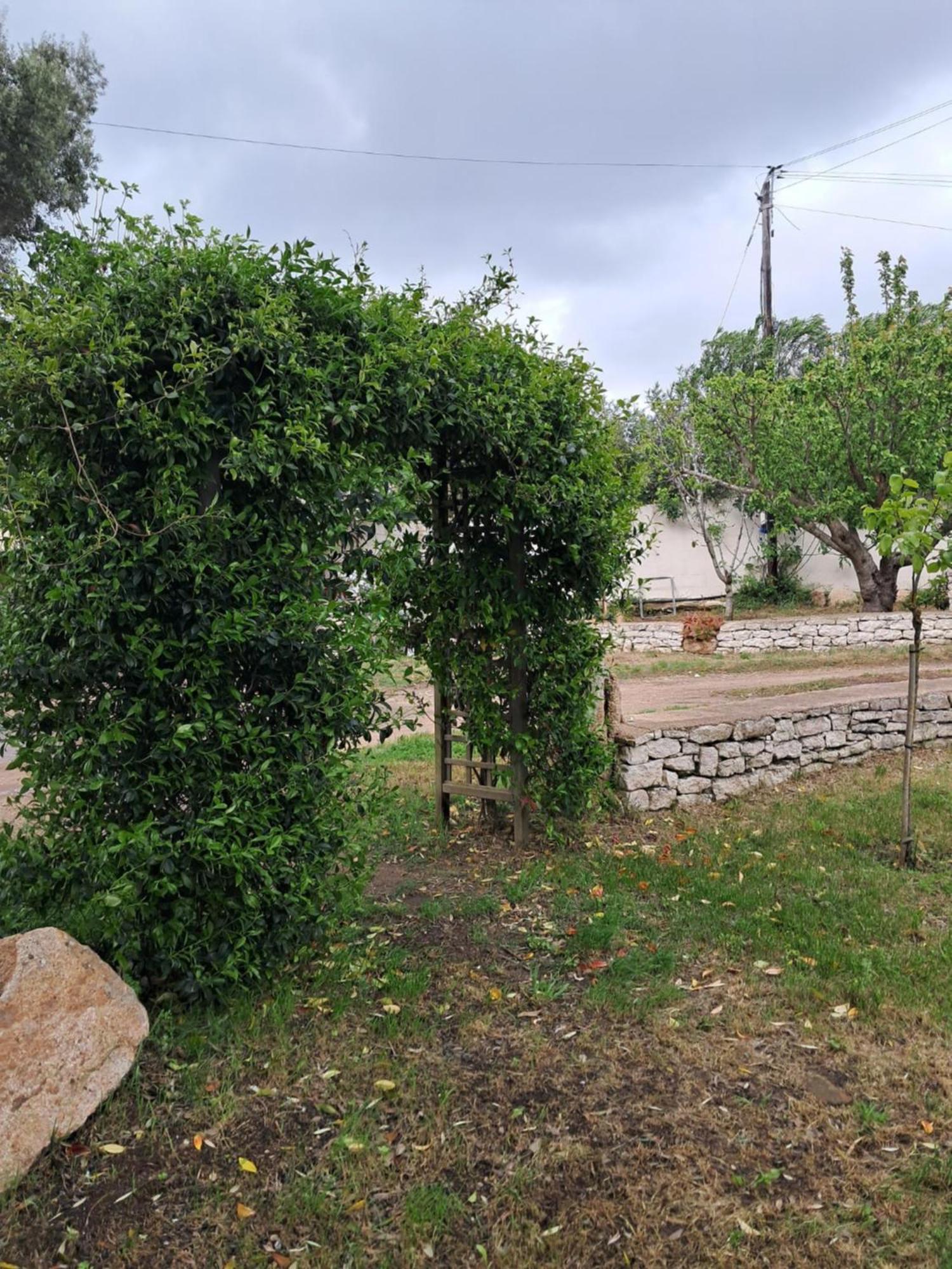 Mini Villa Giuseppina Bonifacio  Dış mekan fotoğraf